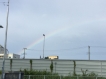 「朝の虹」