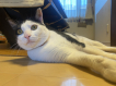 物件のご紹介