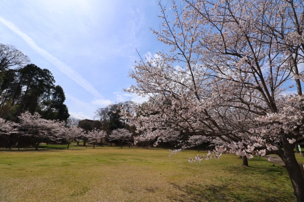 宮の前ふれあい公園