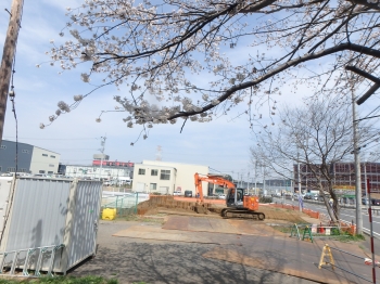 『HIKoffice01桜』の画像