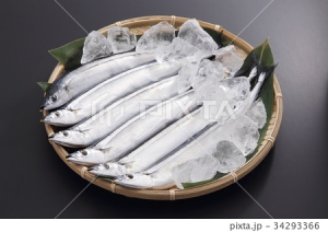 『秋刀魚』の画像