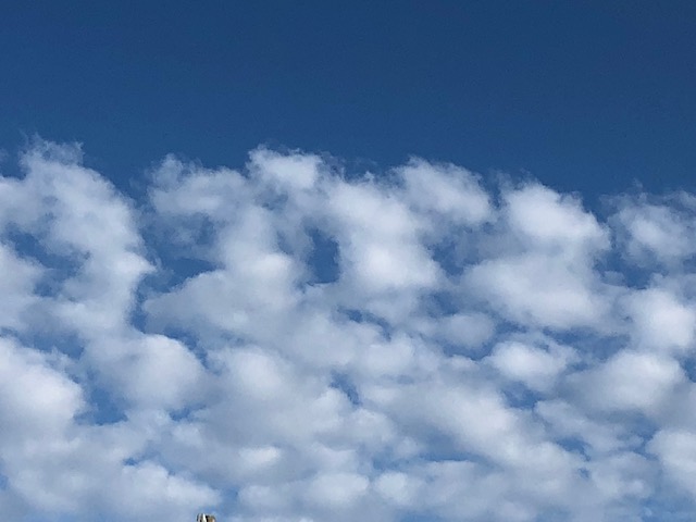 『綿雲』の画像