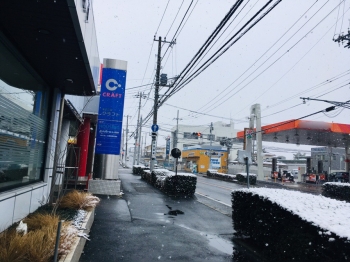 『雪②』の画像