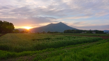 『筑波山２』の画像