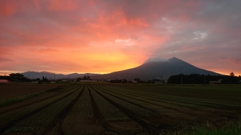 『筑波山』の画像