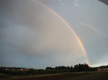 『rainbow』の画像