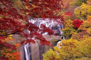 『袋田の滝・紅葉』の画像