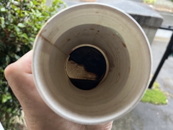 『『frenchPress5 ion』の画像』の画像