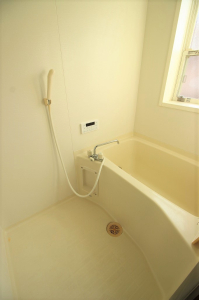 『s-IMG_7742』の画像